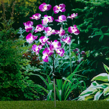 LED-Solar-Orchidee 75 cm