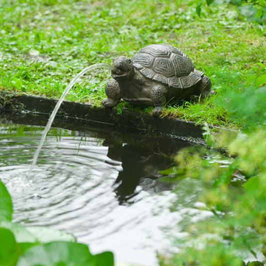 Wasserspeier Schildkröte