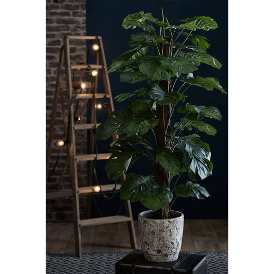 Emerald Kunstpflanze Monstera an Stangen 150 cm