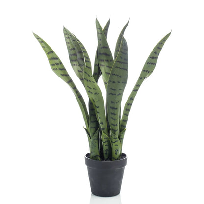 Emerald Sansevieria Bogenhanf Künstlich 55 cm im Topf