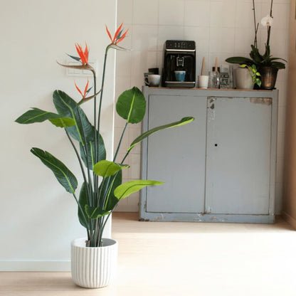 Emerald Künstliche Pflanze Strelitzia im Topf mit Blumen 120 cm