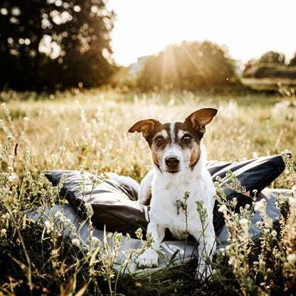 Hundematte Wasserfest LODGE Armeegrün XL